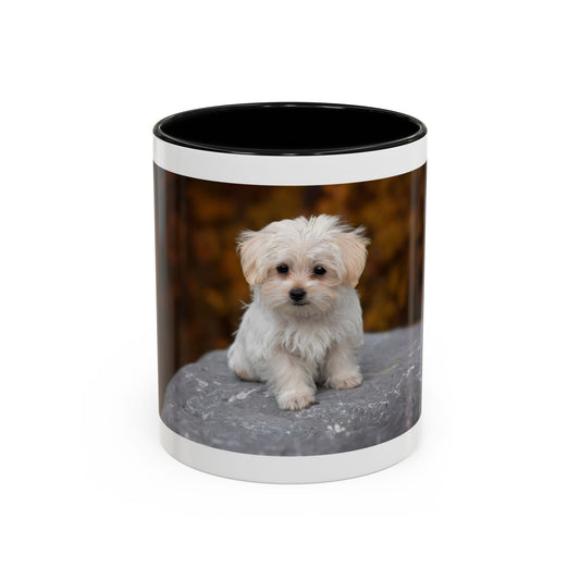 Personalized 11oz or 15oz Coffee Cup, Custom Picture & Design, Create Your Own Mug , Custom Photo Print