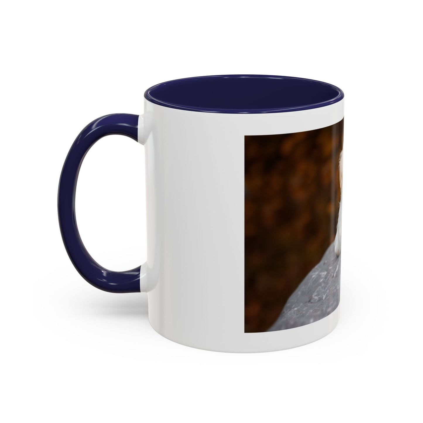 Personalized 11oz or 15oz Coffee Cup, Custom Picture & Design, Create Your Own Mug , Custom Photo Print