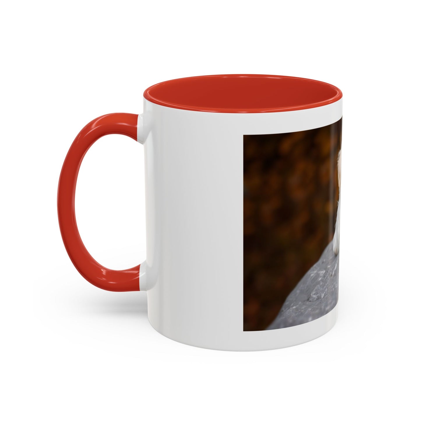 Personalized 11oz or 15oz Coffee Cup, Custom Picture & Design, Create Your Own Mug , Custom Photo Print