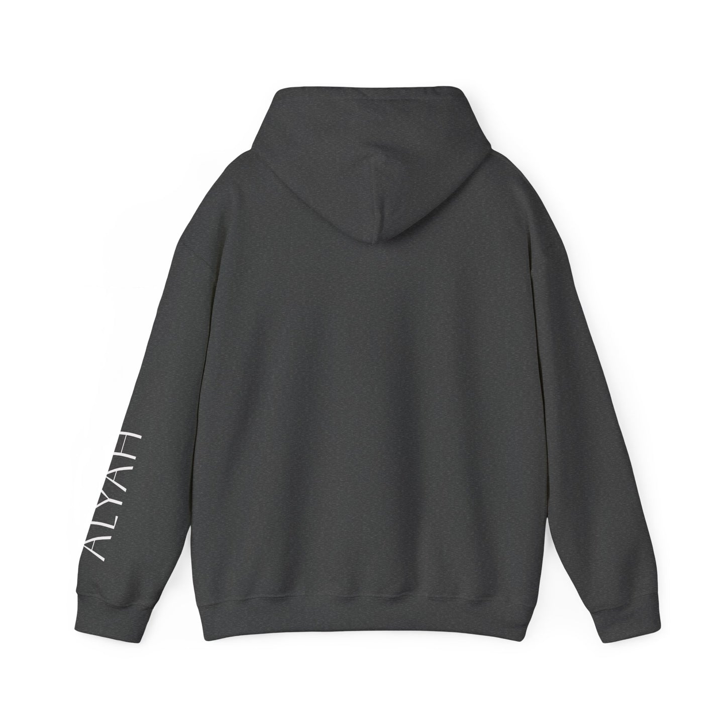 Graduate 2026 Minimal Classic Hoodie Sweatshirt with Custom Name on Sleeve – Personalized Graduation Gift Hoodie for Him or Her