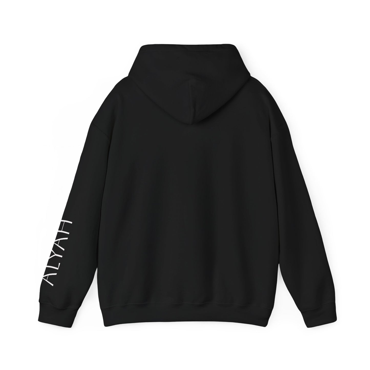 Graduate 2026 Minimal Classic Hoodie Sweatshirt with Custom Name on Sleeve – Personalized Graduation Gift Hoodie for Him or Her