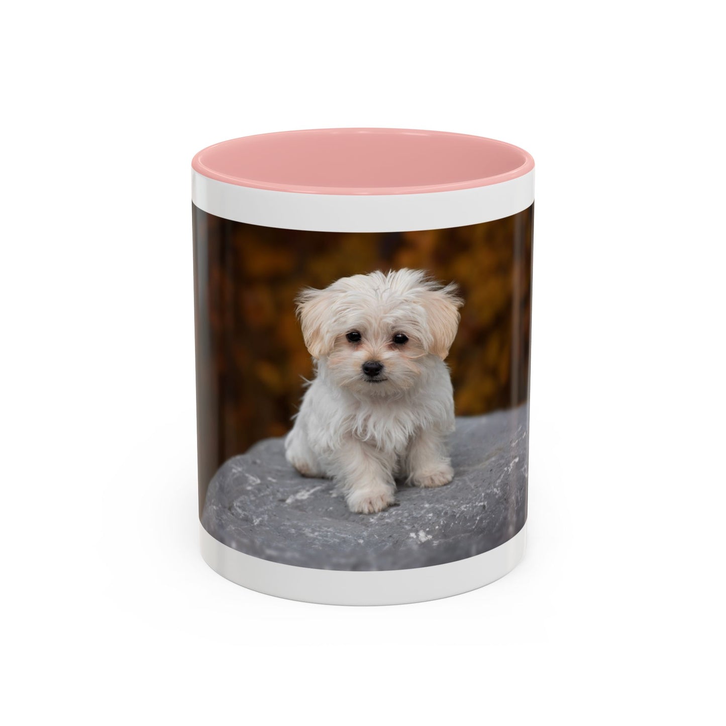 Personalized 11oz or 15oz Coffee Cup, Custom Picture & Design, Create Your Own Mug , Custom Photo Print