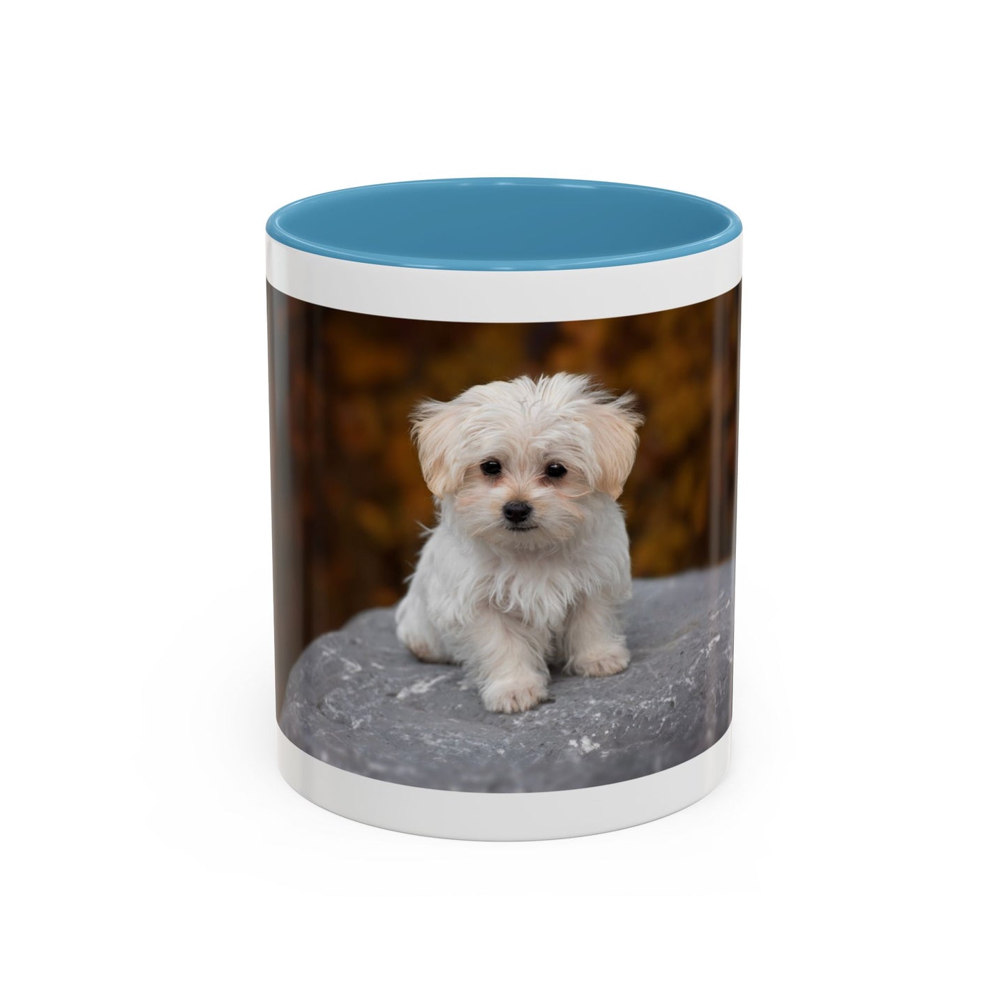 Personalized 11oz or 15oz Coffee Cup, Custom Picture & Design, Create Your Own Mug , Custom Photo Print