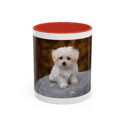 Personalized 11oz or 15oz Coffee Cup, Custom Picture & Design, Create Your Own Mug , Custom Photo Print