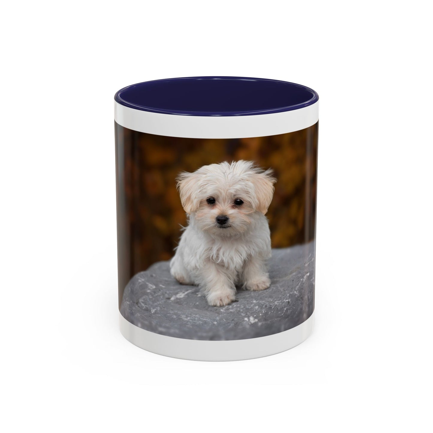 Personalized 11oz or 15oz Coffee Cup, Custom Picture & Design, Create Your Own Mug , Custom Photo Print